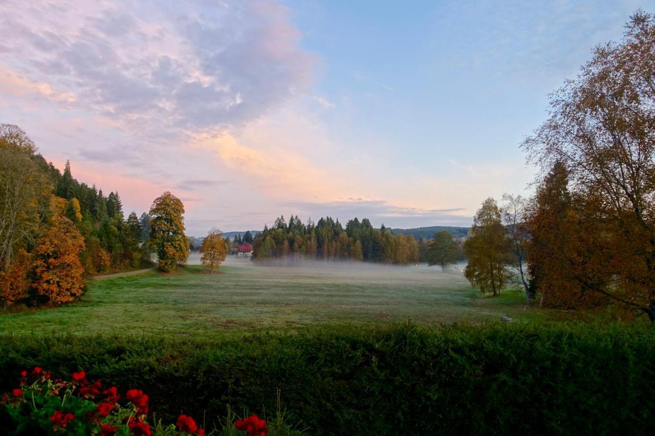 Hollhouse - Bed & Breakfast Hinterzarten Εξωτερικό φωτογραφία