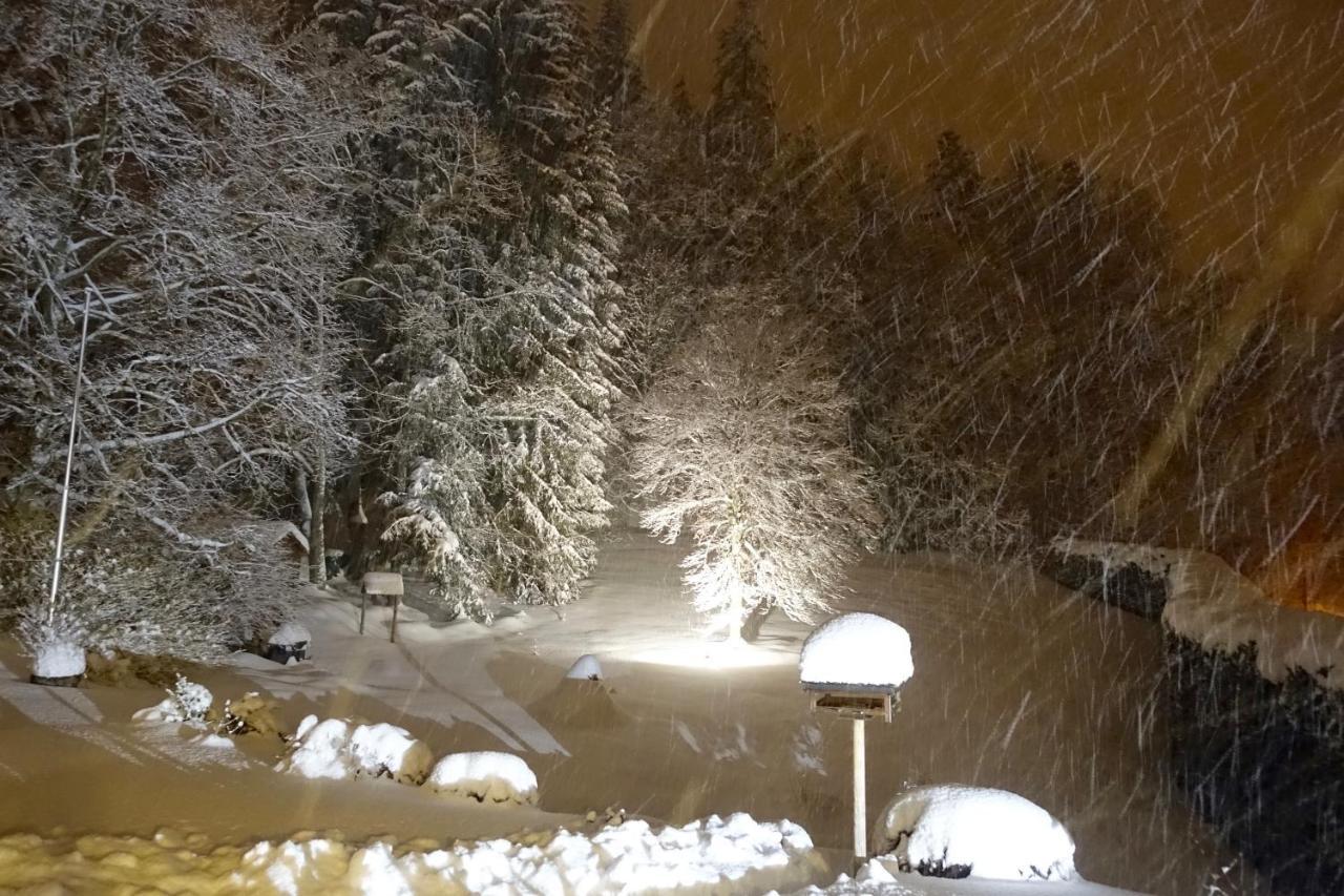 Hollhouse - Bed & Breakfast Hinterzarten Εξωτερικό φωτογραφία