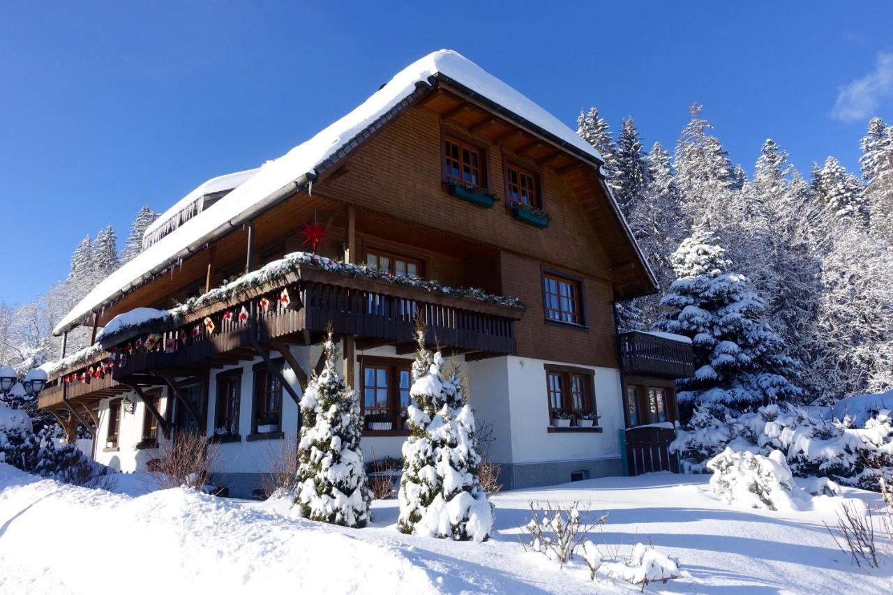 Hollhouse - Bed & Breakfast Hinterzarten Εξωτερικό φωτογραφία