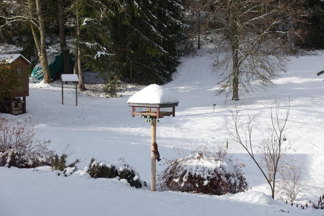 Hollhouse - Bed & Breakfast Hinterzarten Εξωτερικό φωτογραφία
