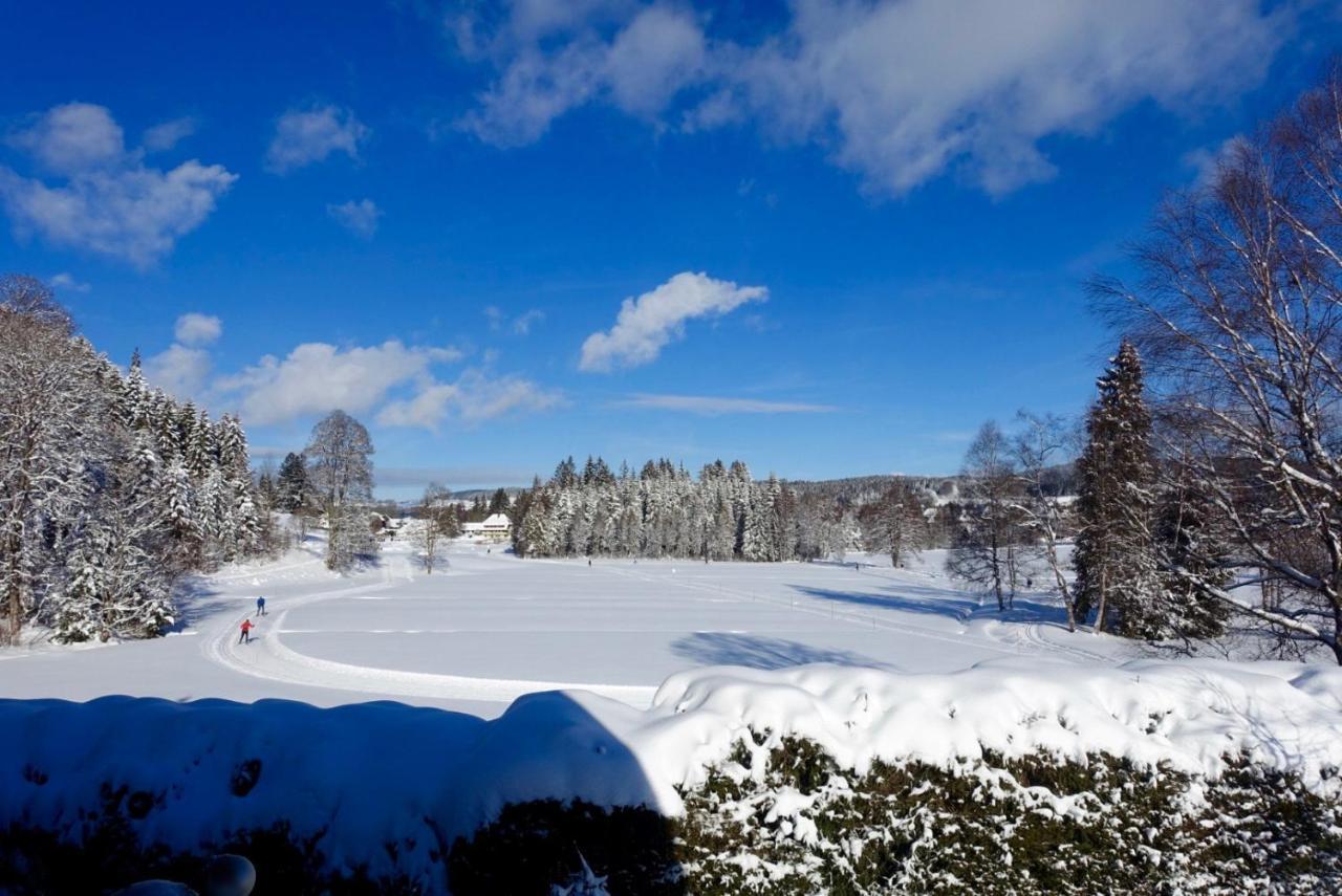 Hollhouse - Bed & Breakfast Hinterzarten Εξωτερικό φωτογραφία