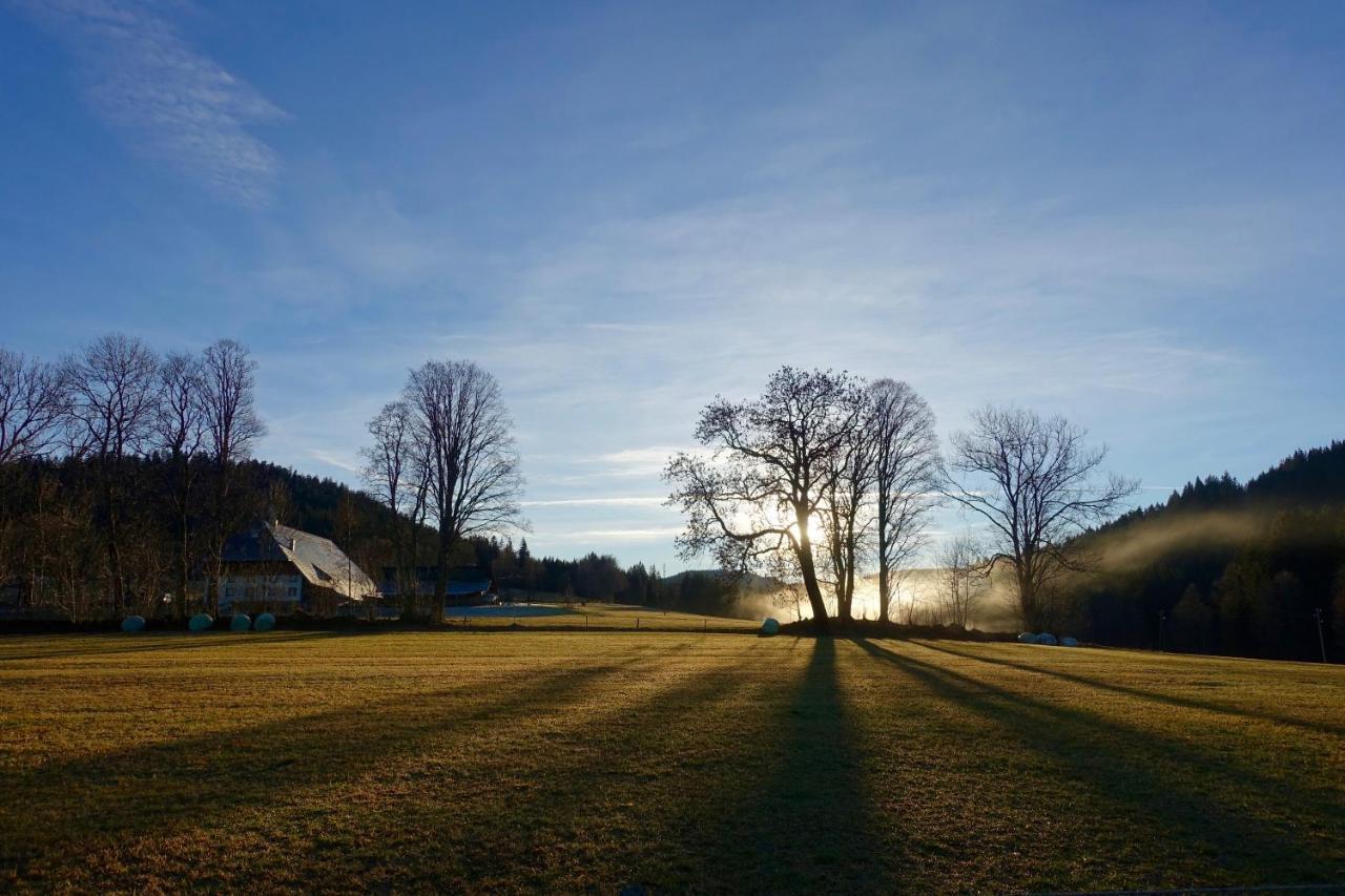 Hollhouse - Bed & Breakfast Hinterzarten Εξωτερικό φωτογραφία
