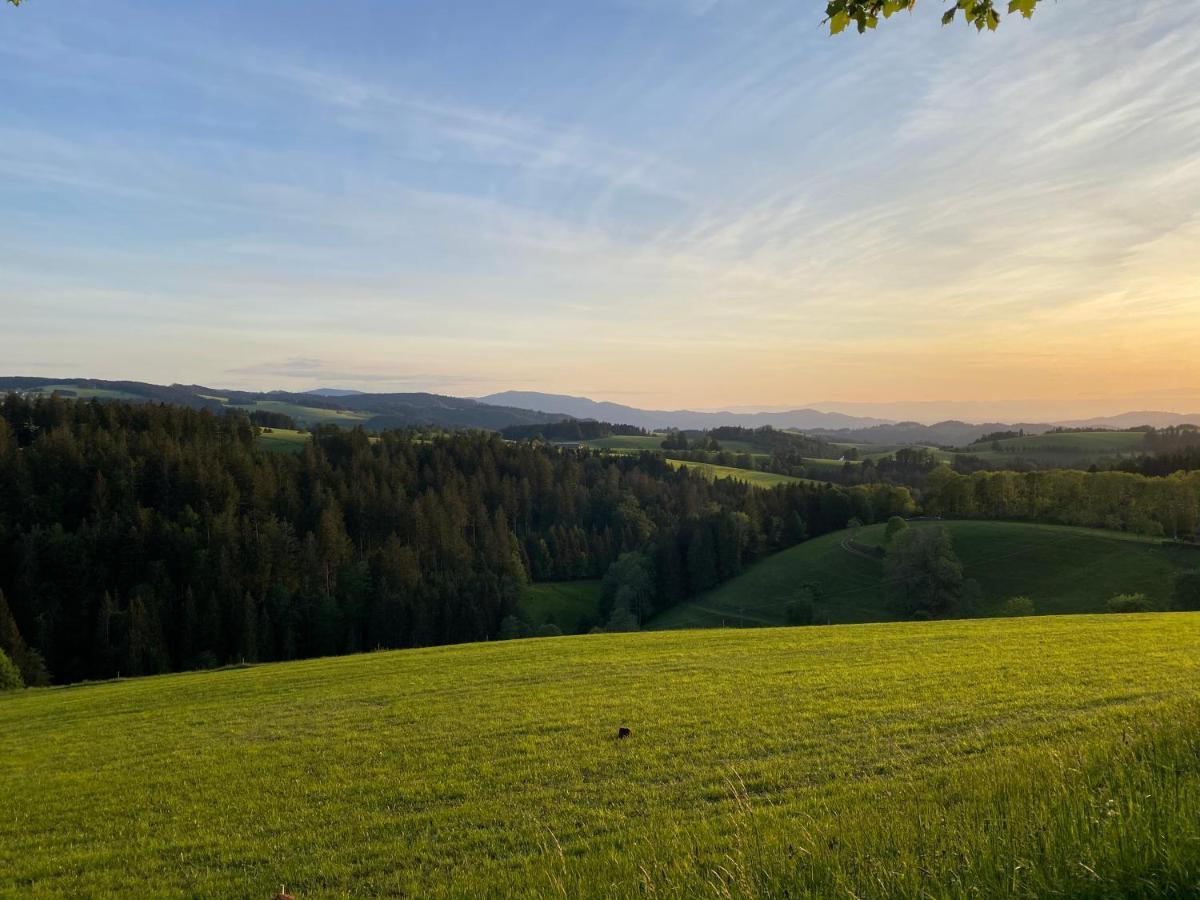 Hollhouse - Bed & Breakfast Hinterzarten Εξωτερικό φωτογραφία