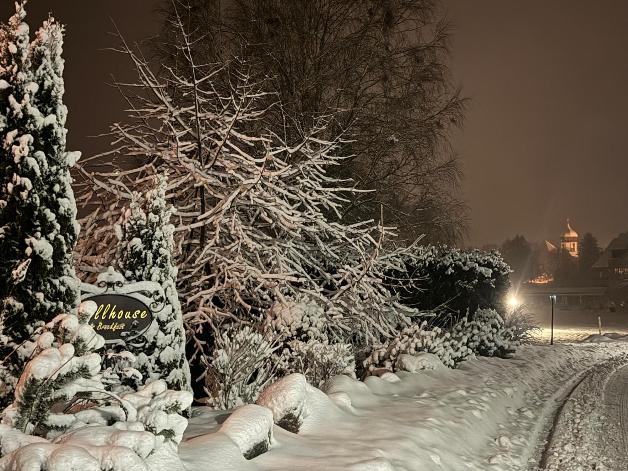 Hollhouse - Bed & Breakfast Hinterzarten Εξωτερικό φωτογραφία